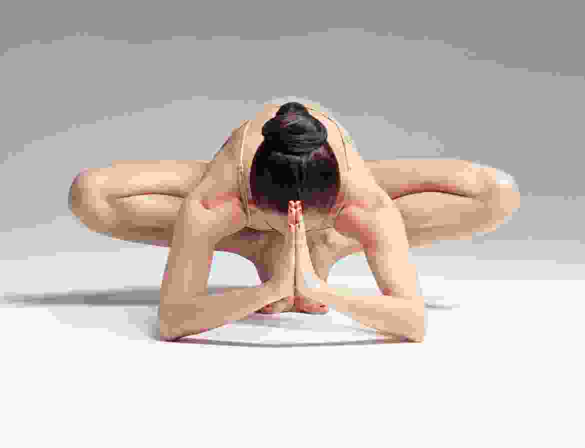 Morbi vel est blandit