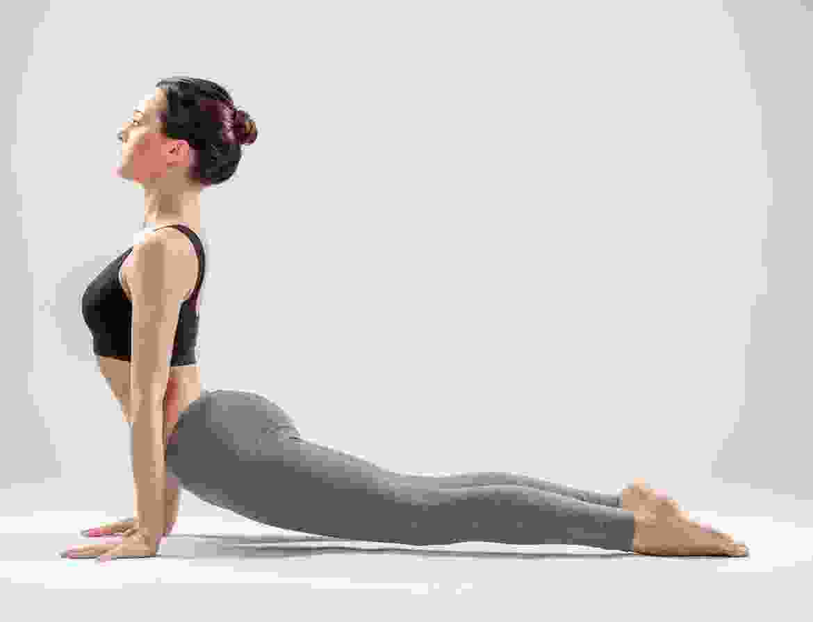 Cras at massa accumsan