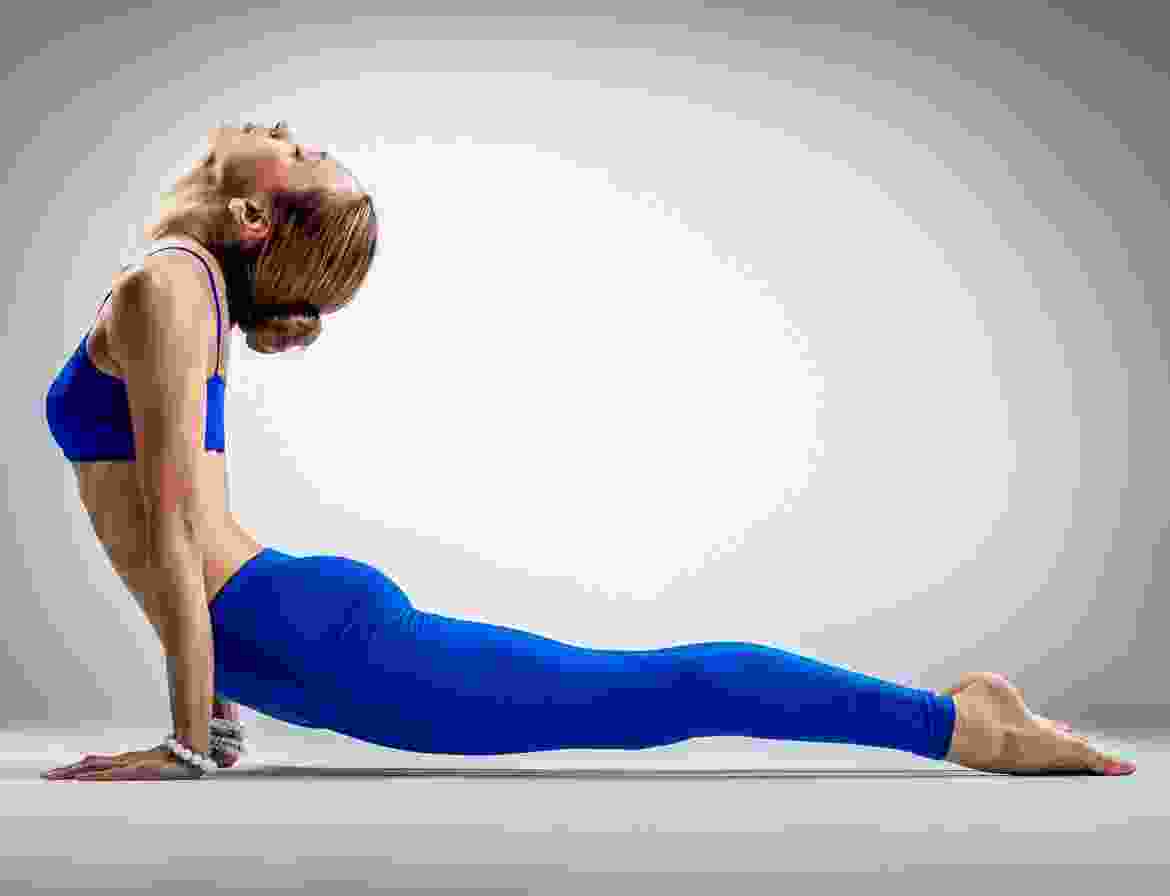 Duis dapibus neque eu